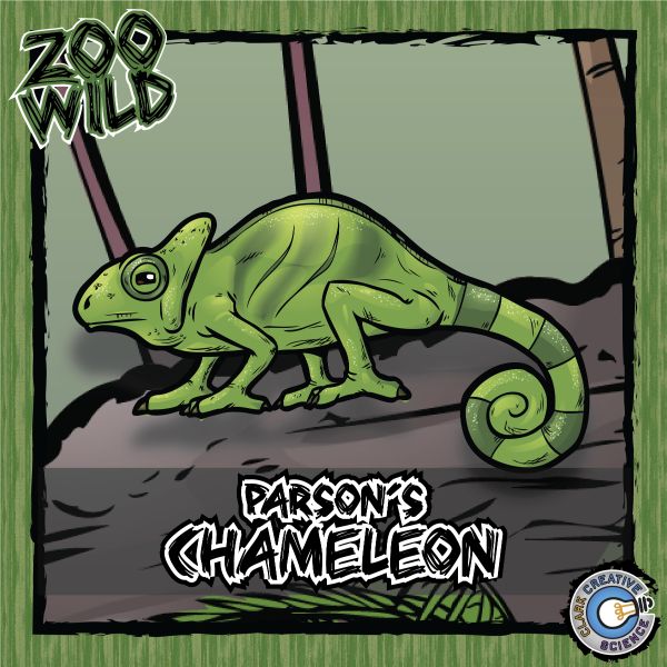 Parsons Chameleon – Zoo Wild_Cover
