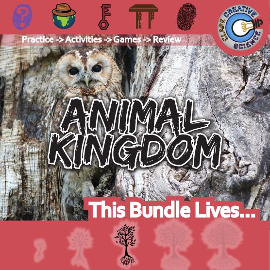 Bundle-Biology Animal Kingdom_Variables & Expressions