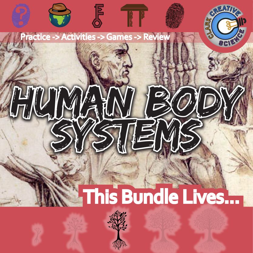 Bundle-Biology-Human-Body-Systems_Variables & Expressions