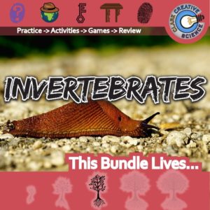 Bundle-Biology Invertebrates_Variables & Expressions