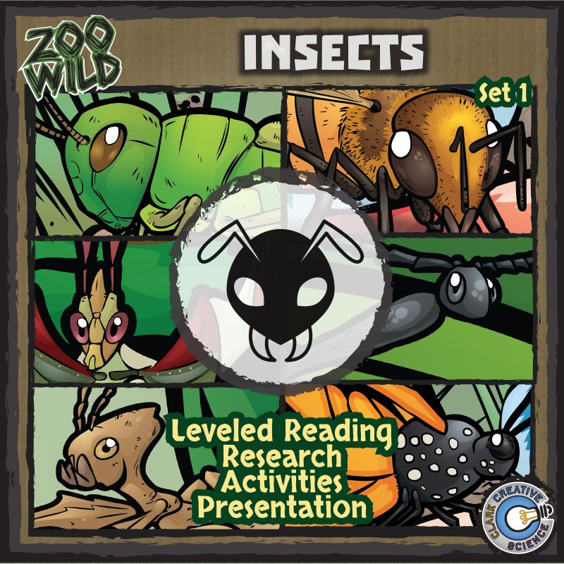 ZooWild-BundleCover-Insects-01
