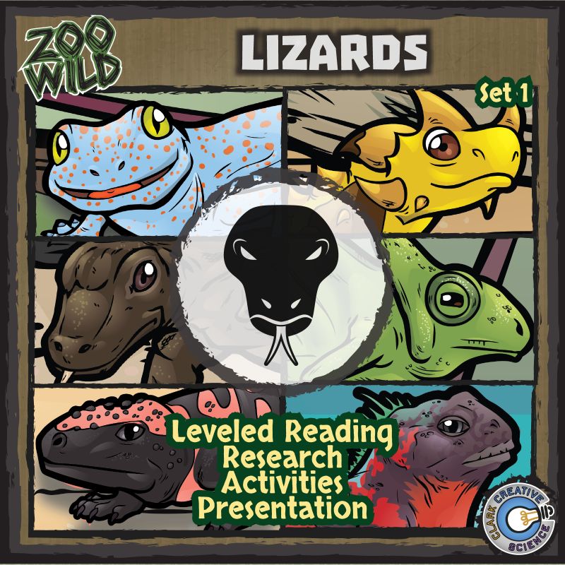 ZooWild-BundleCover-Lizard-01
