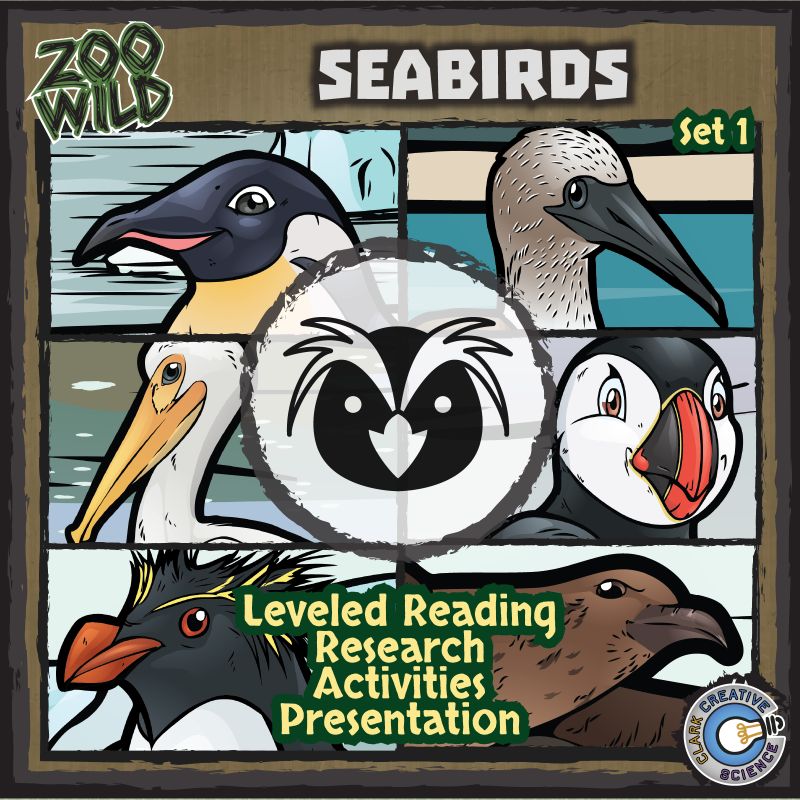 ZooWild-BundleCover-Seabirds-01