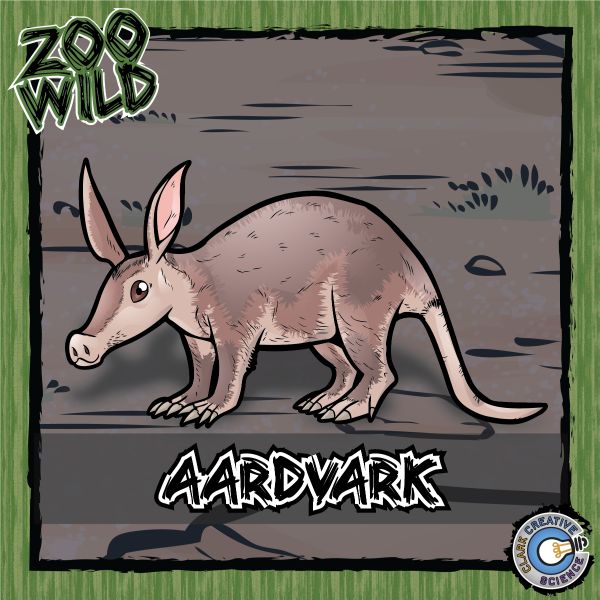 Aardvark – Zoo Wild_Cover