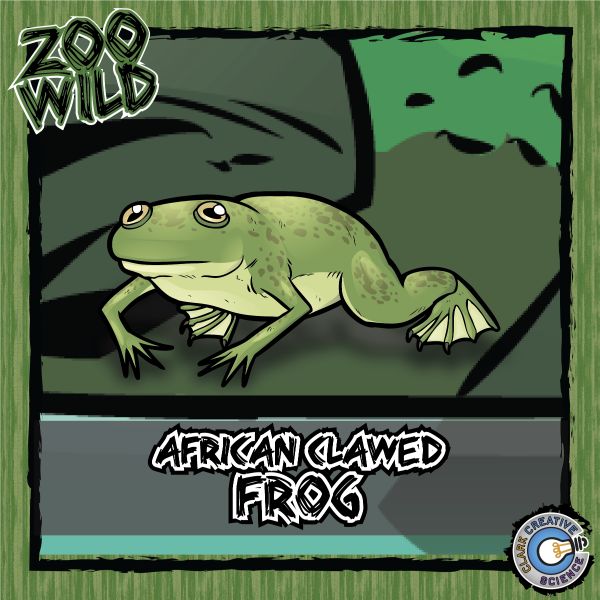 African Clawed Frog – Zoo Wild_Cover