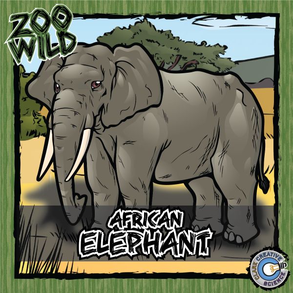 African Elephant – Zoo Wild_Cover
