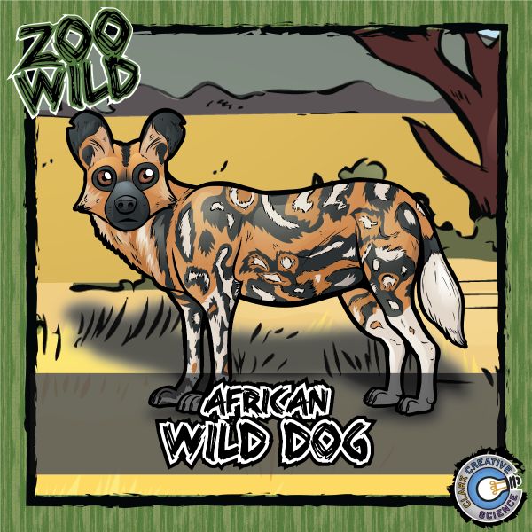 African Wild Dog – Zoo Wild_Cover