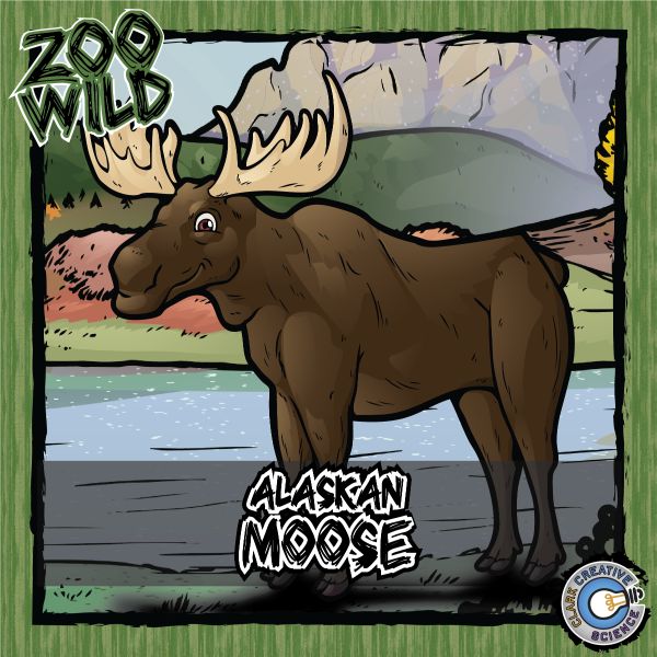 Alaskan Moose – Zoo Wild_Cover
