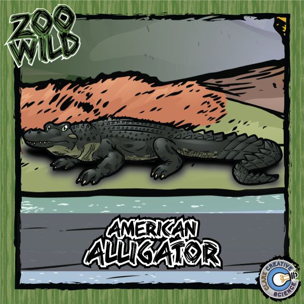 American Alligator – Zoo Wild_Cover