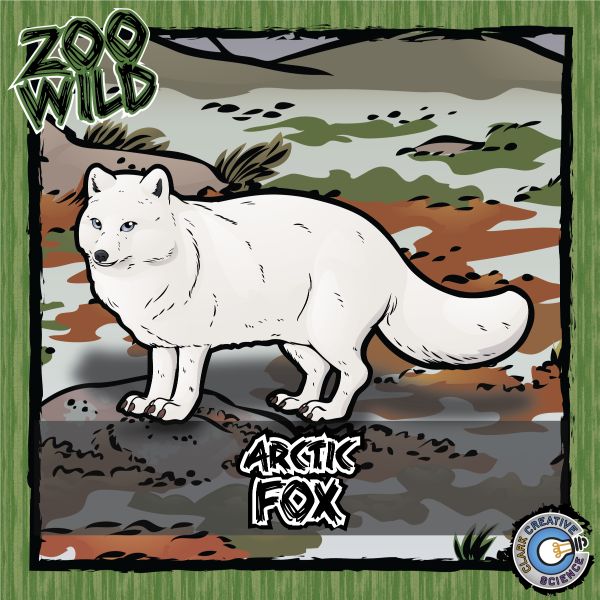 Arctic Fox – Zoo Wild_Cover