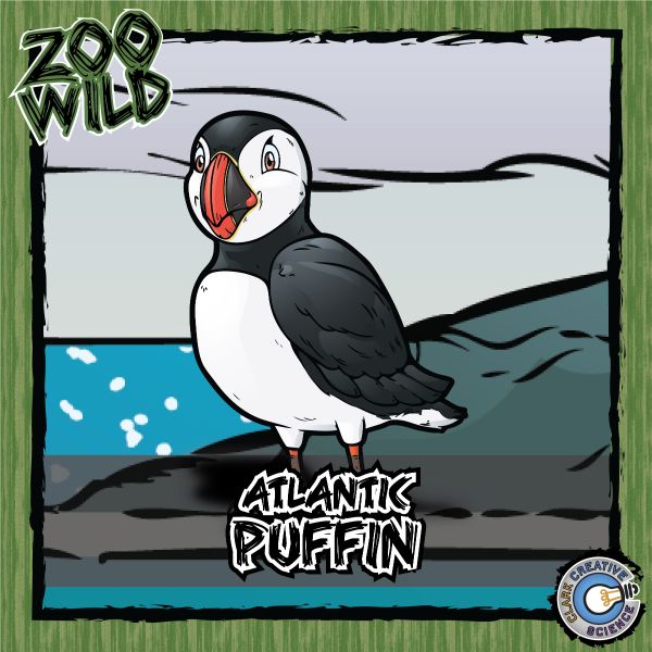 Atlantic Puffin – Zoo Wild_Cover