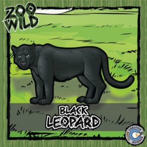 Black Leopard Resources_Cover