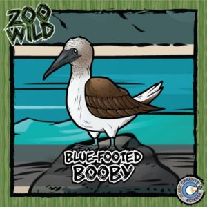 Blue Footed Booby Resources_Cover