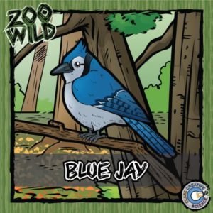 Blue Jay Resources_Cover