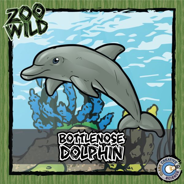 Bottlenose Dolphin – Zoo Wild_Cover