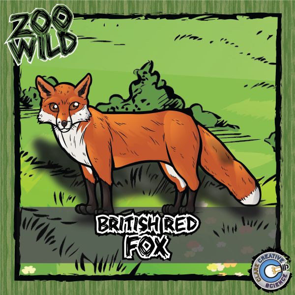 British Red Fox – Zoo Wild_Cover