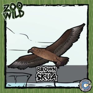 Brown Skua Resources_Cover