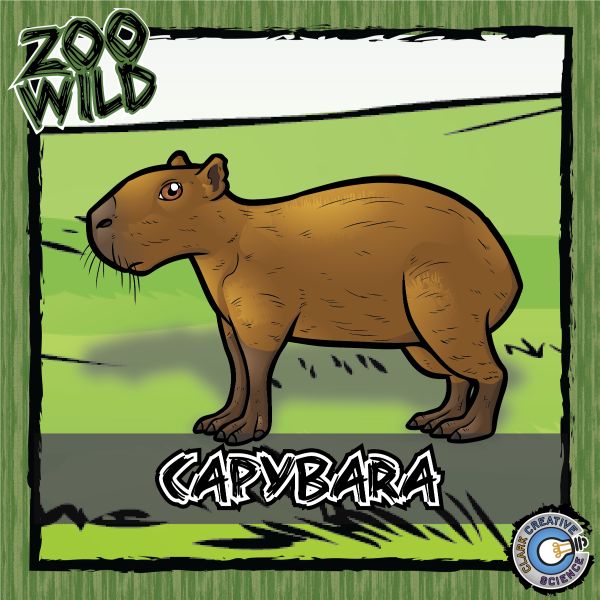 Capybara – Zoo Wild_Cover