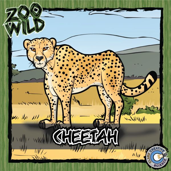 Cheetah – Zoo Wild_Cover