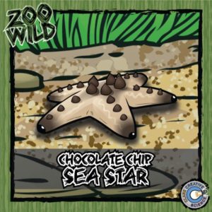 Chocolate Chip Sea Star Resources_Cover