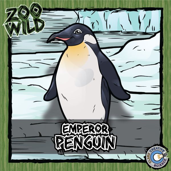 Emperor Penguin – Zoo Wild_Cover