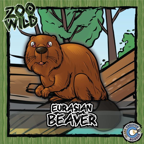 Eurasian Beaver – Zoo Wild_Cover