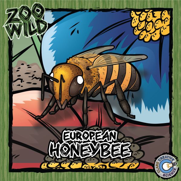 European Honey Bee – Zoo Wild_Cover