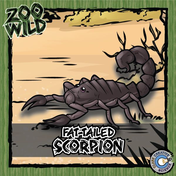 Fat-Tailed Scorpion – Zoo Wild_Cover
