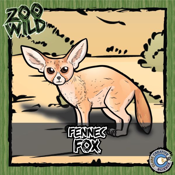 Fennec Fox – Zoo Wild_Cover