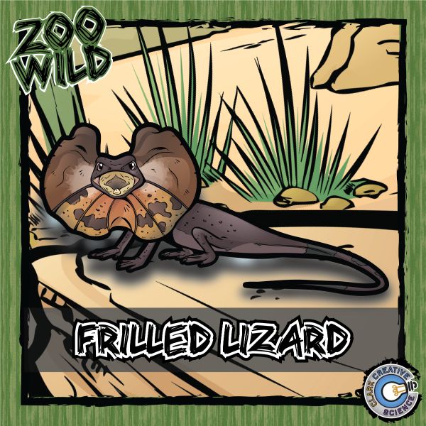 Frilled Lizard – Zoo Wild_Cover