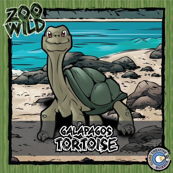 Galapagos Tortoise – Zoo Wild_Cover