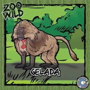 Gelada Resources_Cover