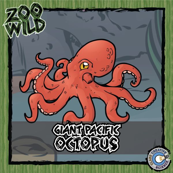 Giant Pacific Octopus – Zoo Wild_Cover