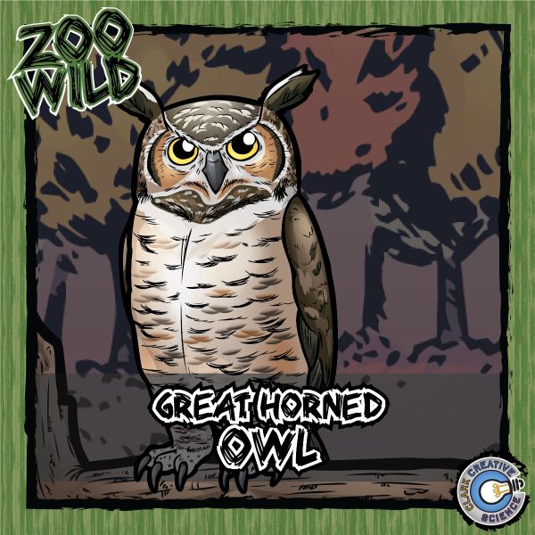 Great Horned Owl – Zoo Wild_Cover