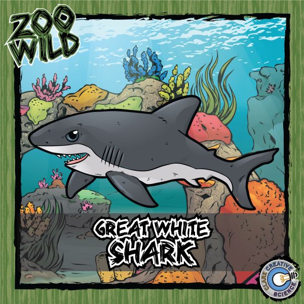 Great White Shark – Zoo Wild_Cover