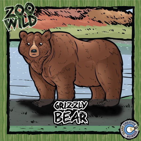 Grizzly Bear – Zoo Wild_Cover