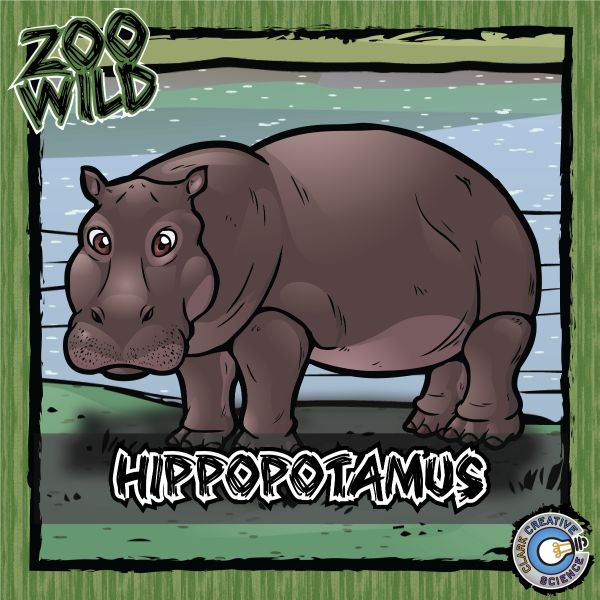 Hippopotamus – Zoo Wild_Cover