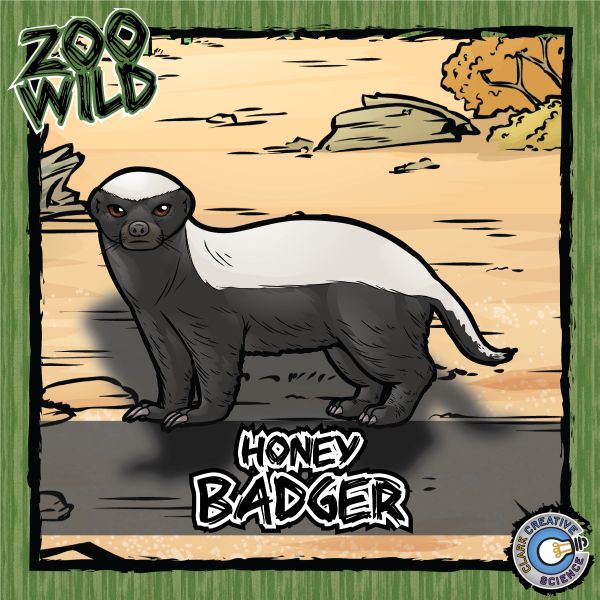 Honey Badger – Zoo Wild_Cover