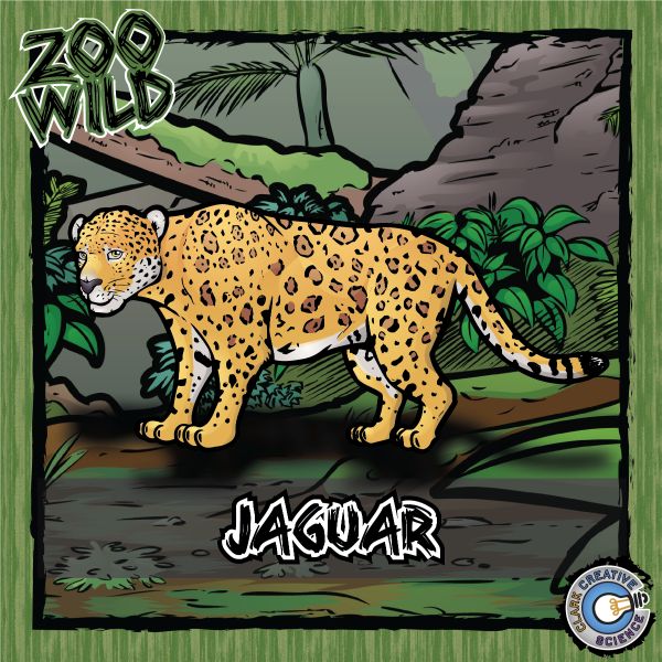 Jaguar – Zoo Wild_Cover