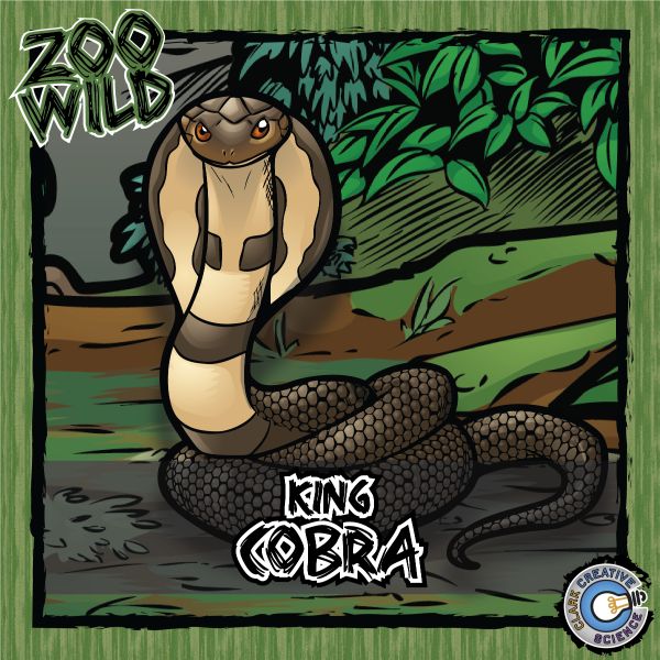 King Cobra – Zoo Wild_Cover