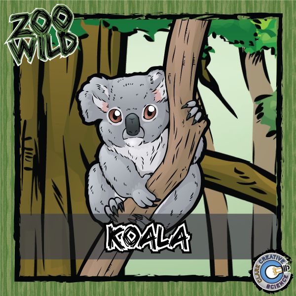 Koala – Zoo Wild_Cover