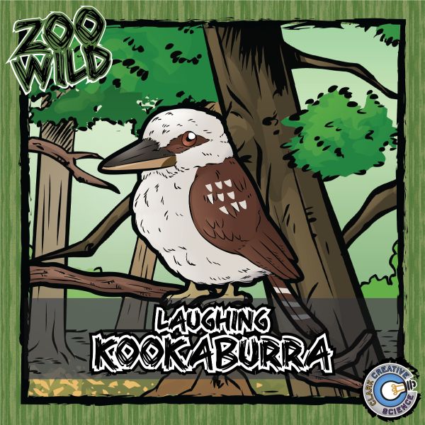 Laughing Kookaburra – Zoo Wild_Cover