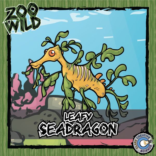 Leafy Seadragon – Zoo Wild_Cover
