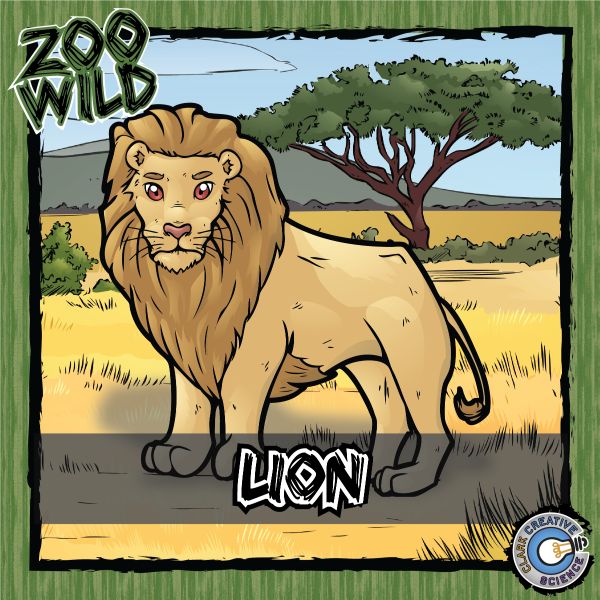 Lion – Zoo Wild_Cover