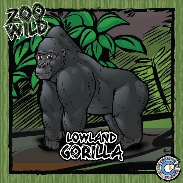 Lowland Gorilla – Zoo Wild_Cover