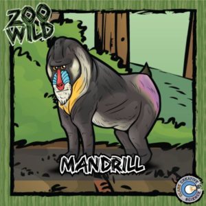 Mandrill Resources_Cover