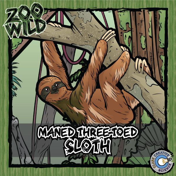 Maned Three Toed Sloth – Zoo Wild_Cover