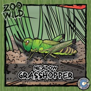 Meadow Grasshopper Resources_Cover