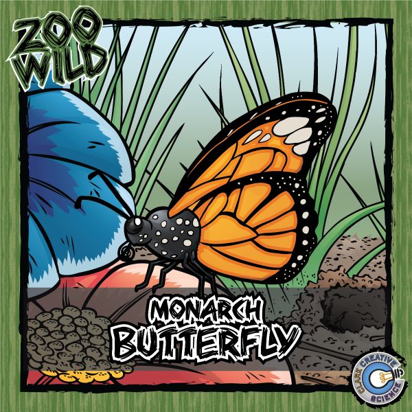 Monarch Butterfly – Zoo Wild_Cover