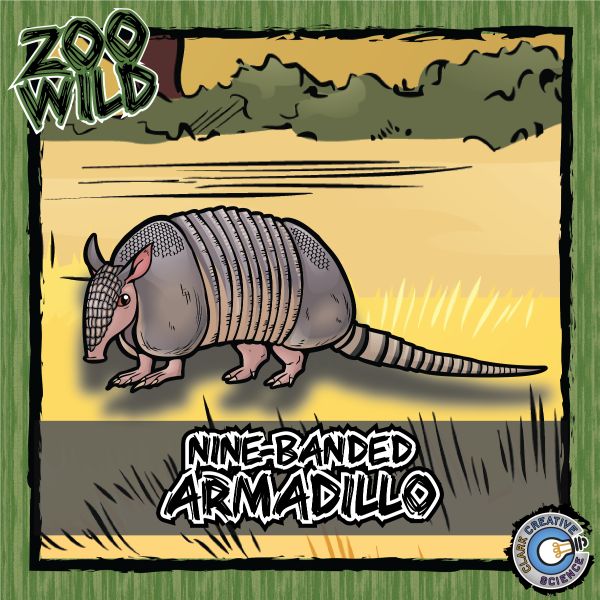 Nine-Banded Armadillo – Zoo Wild_Cover